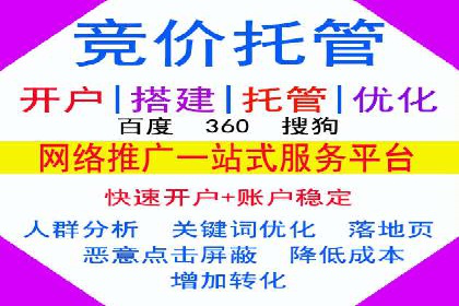 某电商平台的SEM服务全解析